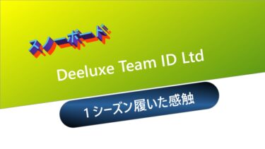【スノーボード】Deeluxe Team ID Ltd：1シーズン履いた感触